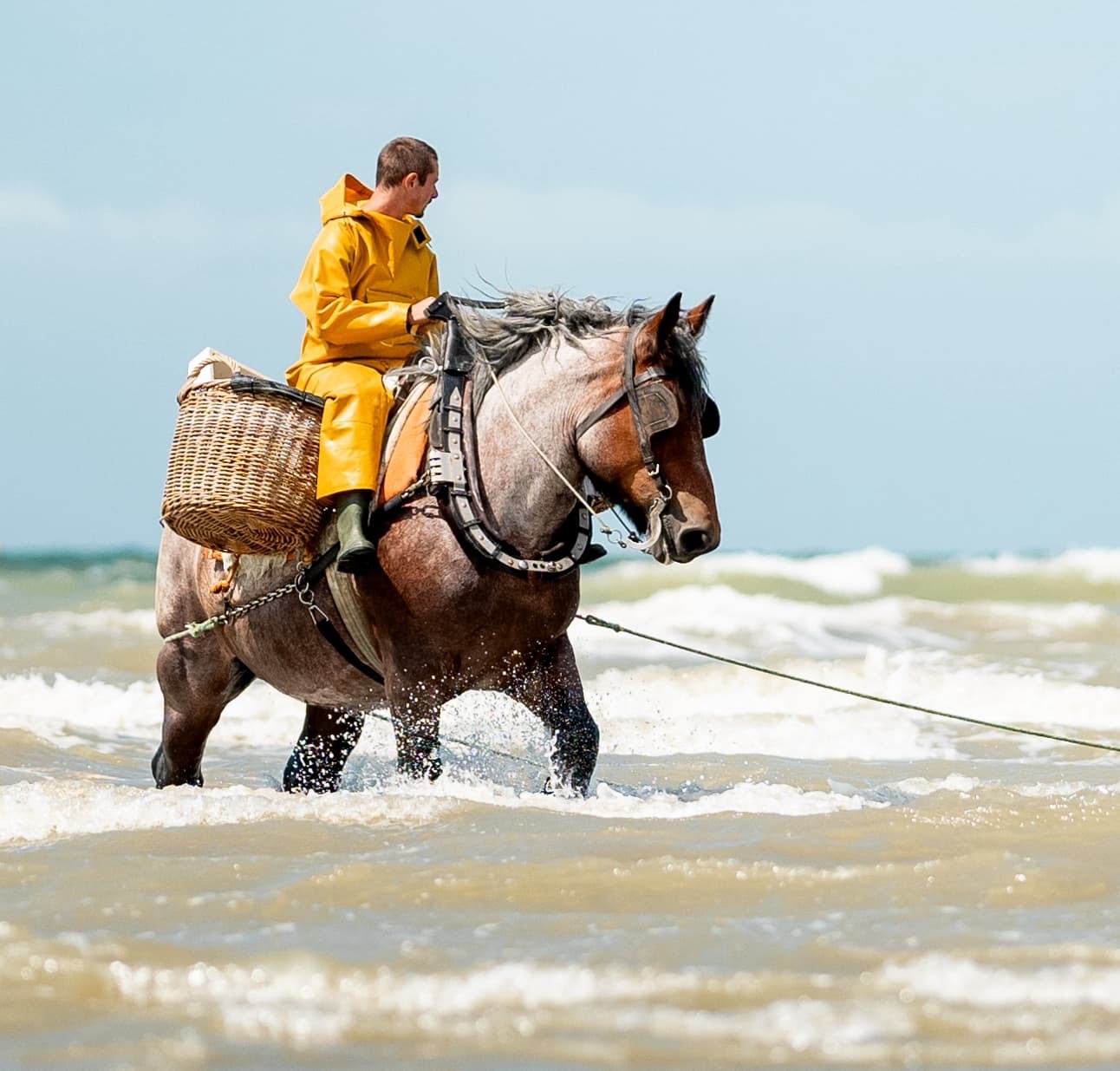 Pêcheurs à cheval d'Oostduinkerke